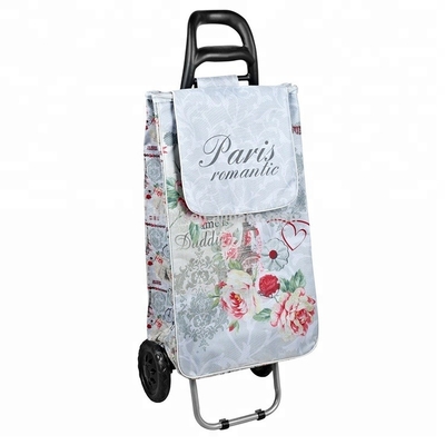 2021 Foldable Folding Trolley PVC Vinyl Shopping Trolley